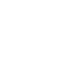 Play button with signal waves representing live and on-demand stream delivery
